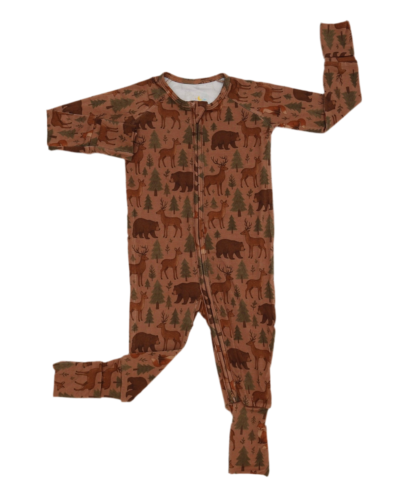 Wild & Free 🐻 - Zippy