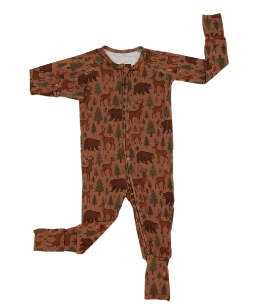 Wild & Free 🐻 - Zippy